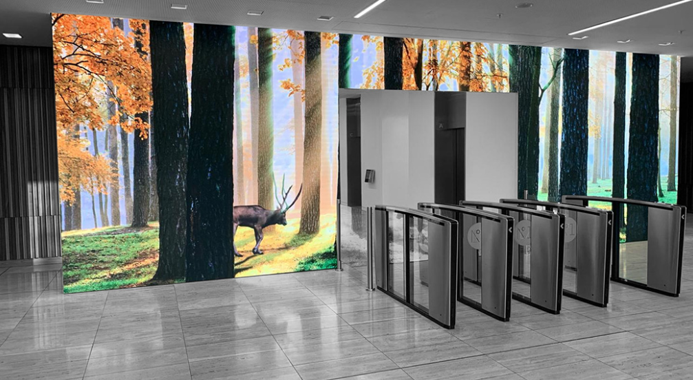 LOBBIES & Reception Area